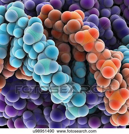 Clipart - Protein molecules, artwork. Fotosearch