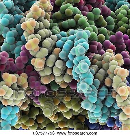Protein molecules, artwork View Large Illustration Drawing - Protein molecules, artwork. Fotosearch