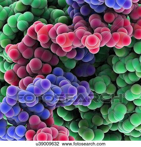Protein molecules, artwork View Large Illustration Drawing - Protein molecules, artwork. Fotosearch