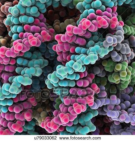 Protein molecules, artwork View Large Illustration Drawing - Protein molecules, artwork. Fotosearch