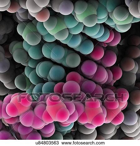 Drawing - Protein molecules, artwork. Fotosearch