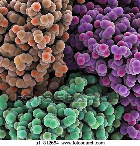Stock Illustration - Protein molecules, artwork. Fotosearch