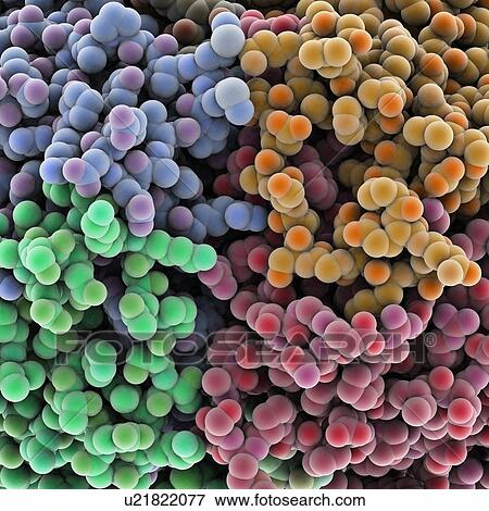 Stock Illustration - Protein molecules, artwork. Fotosearch