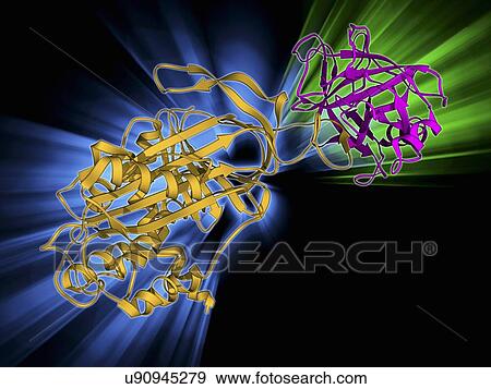 Stock Illustration - Proteinase inhibitor molecule. Fotosearch