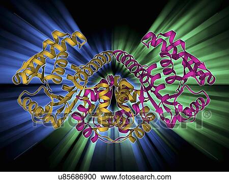 Clipart - Rabbit eye lens protein molecule. Fotosearch