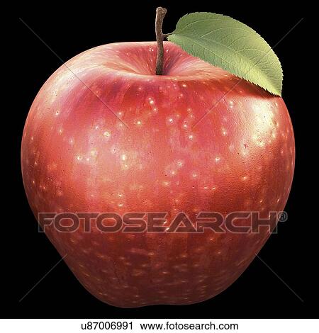 Clip Art - Red apple, artwork. Fotosearch