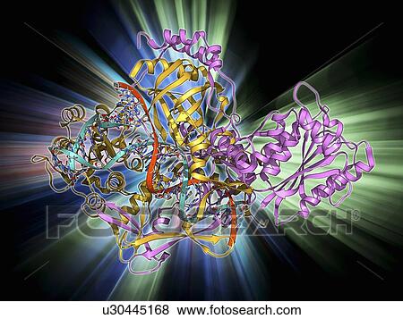 Stock Illustration - Repair protein and DNA, molecular model. Fotosearch