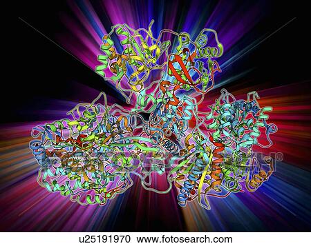 Clipart - Respiratory complex I. Fotosearch