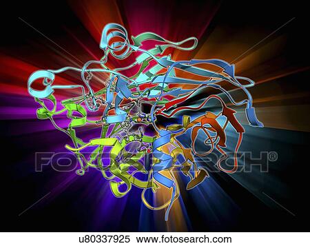 Stock Illustration - Retinal-producing oxygenase enzyme. Fotosearch