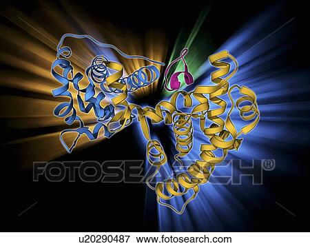 Stock Illustration - Retinoblastoma tumor suppressor molecule. Fotosearch