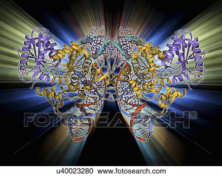 Retroviral intasome molecule View Large Illustration Clipart - Retroviral intasome molecule. Fotosearch