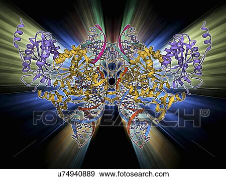 Retroviral intasome molecule View Large Illustration Stock Illustration - Retroviral intasome molecule. Fotosearch