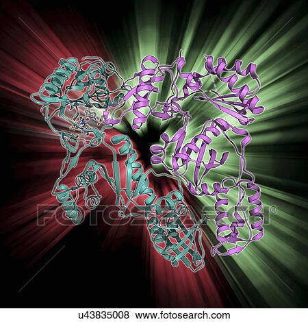 Reverse transcriptase and inhibitor View Large Illustration Stock Illustration - Reverse transcriptase and inhibitor. Fotosearch