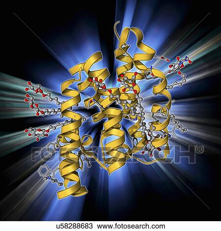 Rhomboid protease molecule View Large Illustration Drawing - Rhomboid protease molecule. Fotosearch