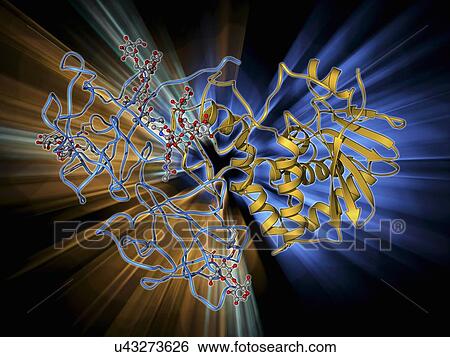 Stock Illustration - Ricin molecule. Fotosearch