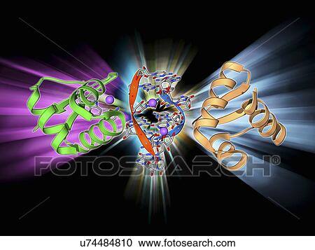 Clipart - RNA-editing enzyme, molecular model. Fotosearch
