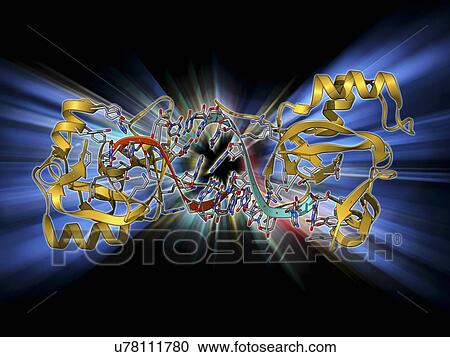 Clipart - RNA-induced silencing complex. Fotosearch