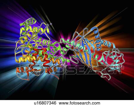 Stock Illustration - RNA interference protein, molecular model. Fotosearch