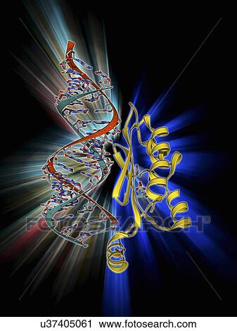 Clip Art - RNA interference viral suppressor and RNA. Fotosearch