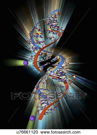 Clipart - RNA triplet repeat expansion. Fotosearch