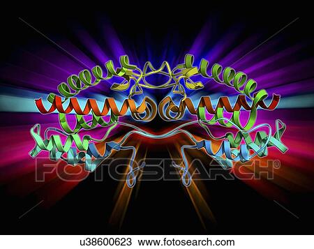 Rous sarcoma virus capsid protein View Large Illustration Drawing - Rous sarcoma virus capsid protein. Fotosearch