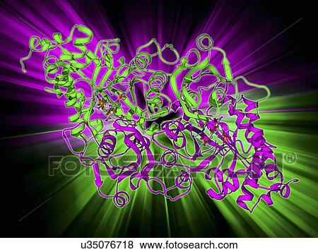 Stock Illustration - Rubisco enzyme molecule. Fotosearch