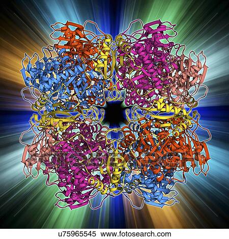 Stock Illustration - Rubisco enzyme molecule. Fotosearch
