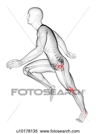 Stock Illustration - Runner's joints, artwork. Fotosearch