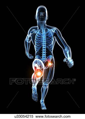 Runner's joints, artwork View Large Illustration Stock Illustration - Runner's joints, artwork. Fotosearch
