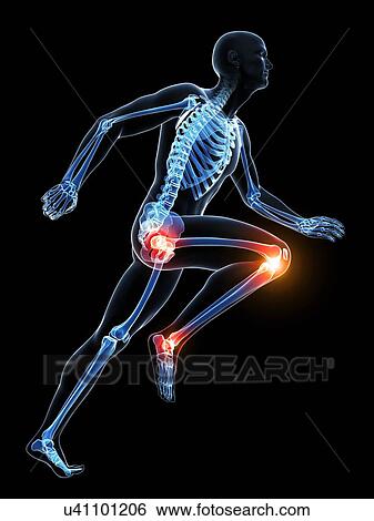 Stock Illustration - Runner's joints, artwork. Fotosearch