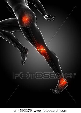 Stock Illustration - Runner's joints, artwork. Fotosearch