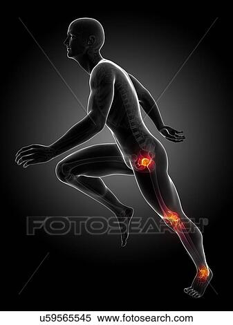 Runner's joints, artwork View Large Illustration Stock Illustration - Runner's joints, artwork. Fotosearch