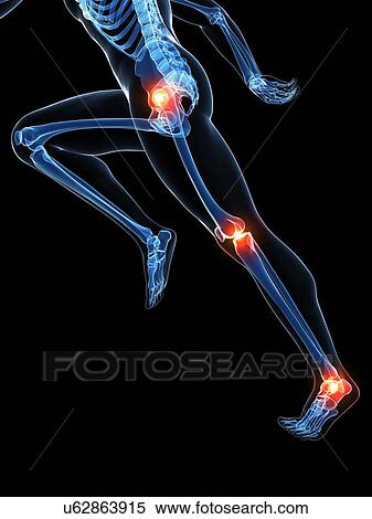 Runner's joints, artwork View Large Illustration Stock Illustration - Runner's joints, artwork. Fotosearch