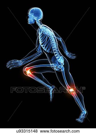 Runner's joints, artwork View Large Illustration Stock Illustration - Runner's joints, artwork. Fotosearch
