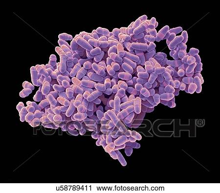 Clip Art - S. pombe yeast, SEM. Fotosearch