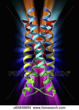 SARS virus surface protein molecule View Large Illustration Stock Illustration - SARS virus surface protein molecule. Fotosearch