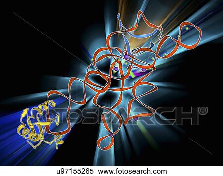 Self-splicing RNA intron, molecular model View Large Illustration Stock Illustration - Self-splicing RNA intron, molecular model. Fotosearch
