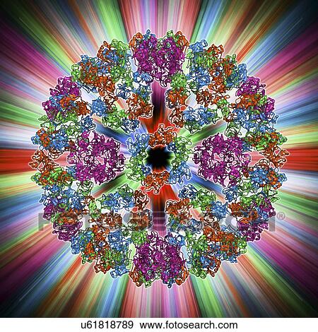 Semliki forest virus capsid View Large Illustration Stock Illustration - Semliki forest virus capsid. Fotosearch