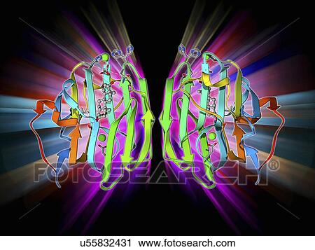 Sex hormone-binding globulin molecule View Large Illustration Clip Art - Sex hormone-binding globulin molecule. Fotosearch