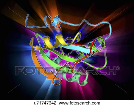 Simian virus SV40 large T antigen View Large Illustration Drawing - Simian virus SV40 large T antigen. Fotosearch
