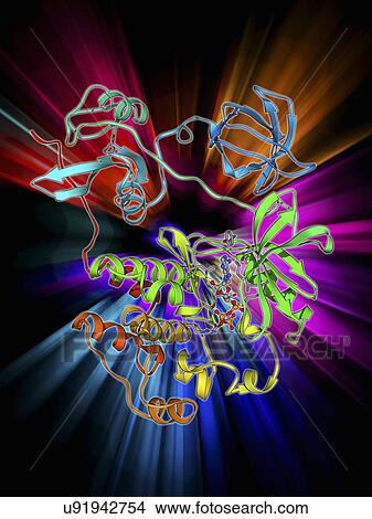 Stock Illustration - Src protein molecule. Fotosearch