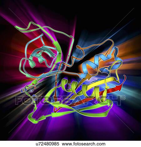 Staphylococcal enterotoxin C2 molecule View Large Illustration Stock Illustration - Staphylococcal enterotoxin C2 molecule. Fotosearch