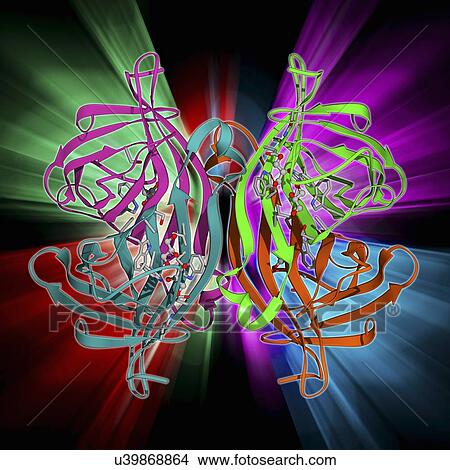 Stock Illustration - Streptavidin bacterial protein. Fotosearch