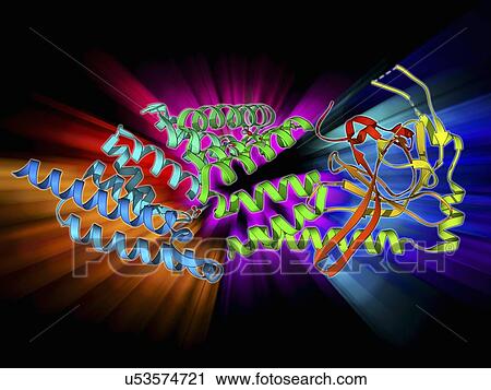Clip Art - Stress-responsive activator protein. Fotosearch