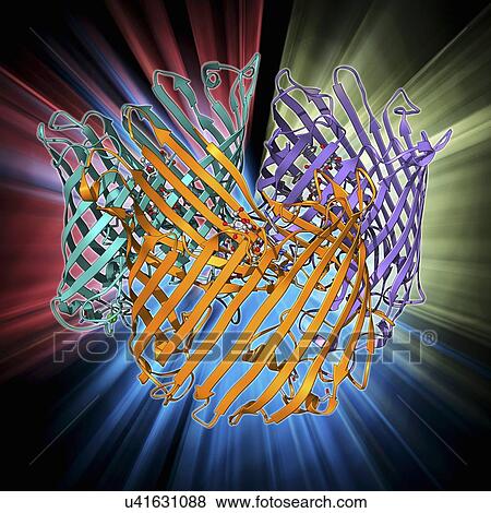 Sucrose-specific porin molecule View Large Illustration Stock Illustration - Sucrose-specific porin molecule. Fotosearch