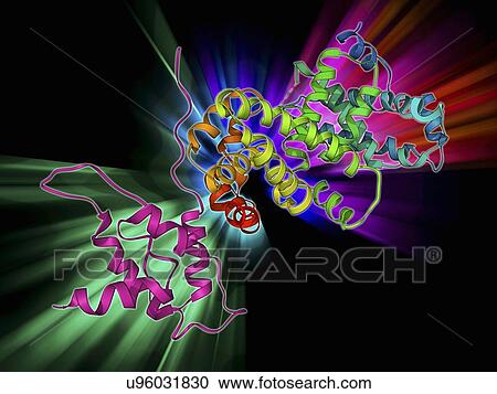 Clipart - SV40 antigen and tumor suppressor. Fotosearch