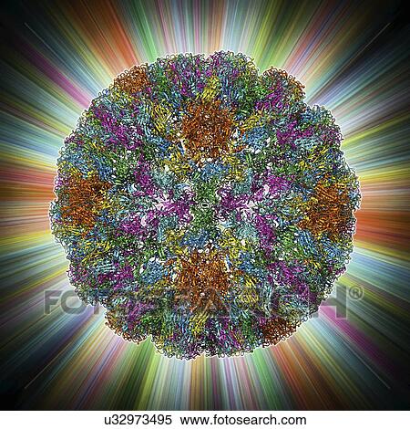 SV40 virus capsid, molecular model View Large Illustration Stock Illustration - SV40 virus capsid, molecular model. Fotosearch