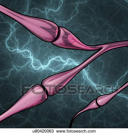 Drawing - Synapses, artwork. Fotosearch