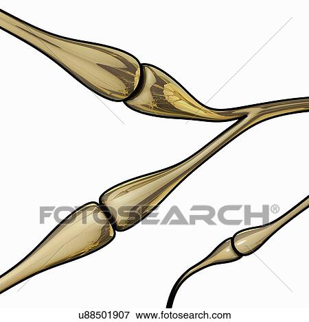 Synapses, artwork View Large Illustration Stock Illustration - Synapses, artwork. Fotosearch