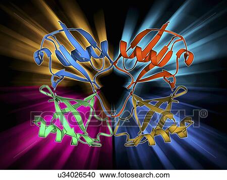 Clipart - Tetraubiquitin protein molecule. Fotosearch